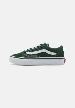 Vans Old Skool Unisex - Trainers - Color Theory Mountain View